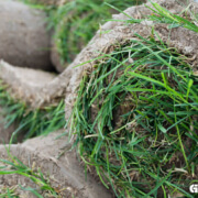 Landscaper insurance